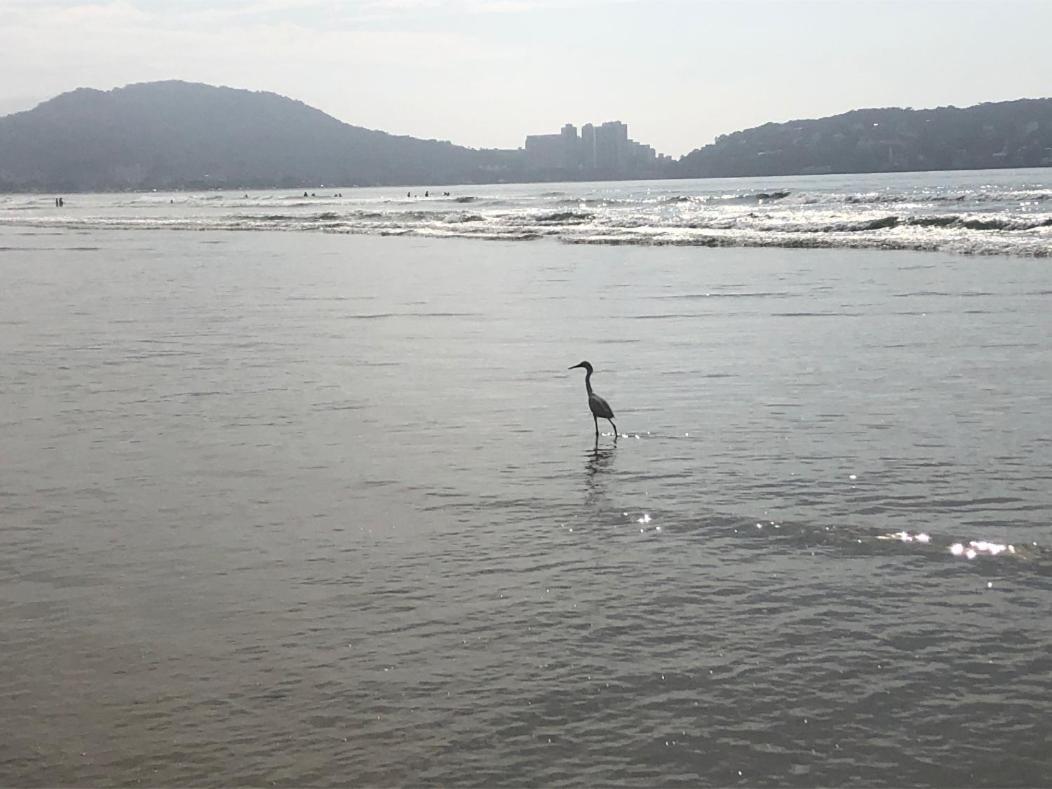 3 Dormitorios No Guaruja, Proximo Ao Aquario! Sinta-Se Em Casa! 외부 사진